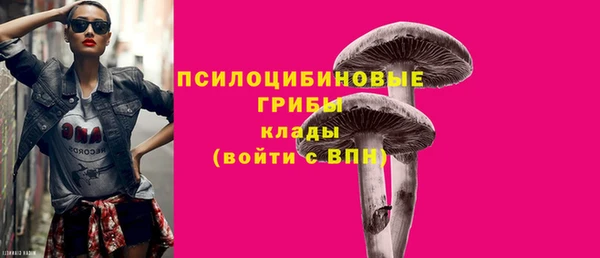 метадон Новозыбков