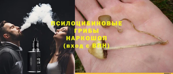 МДПВ Новодвинск