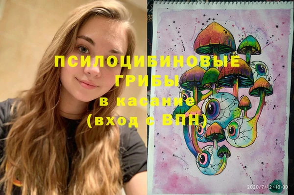 мдпв Бикин
