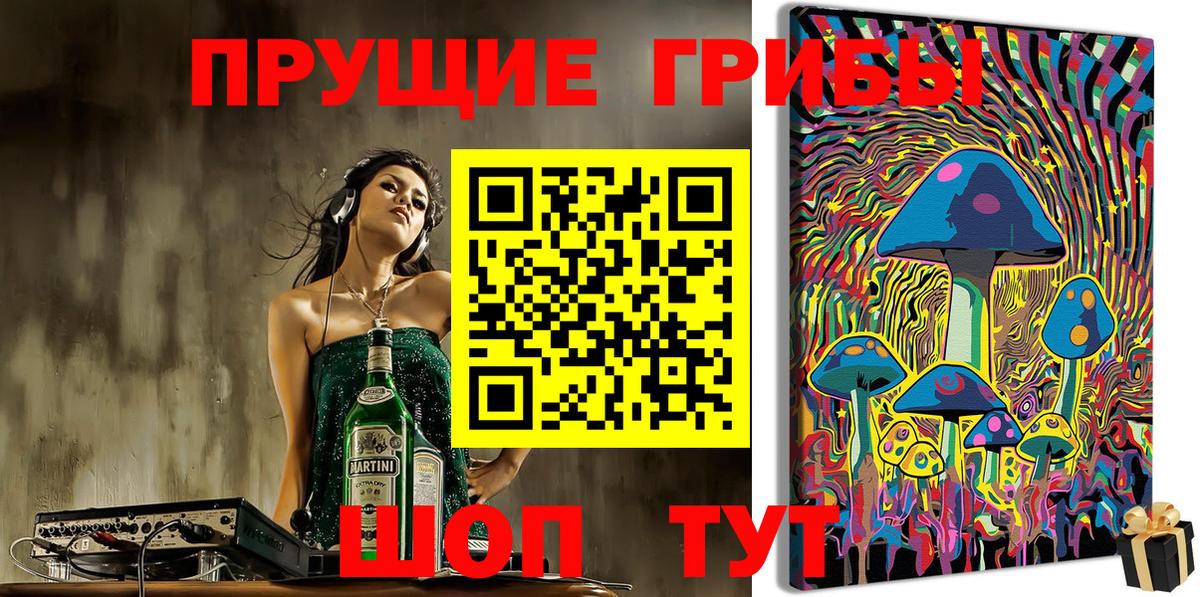 где продают наркотики  Псилоцибиновые грибы MAGIC MUSHROOMS  Вход с VPN  Галлюциногенные грибы мухоморы  Кириши 
